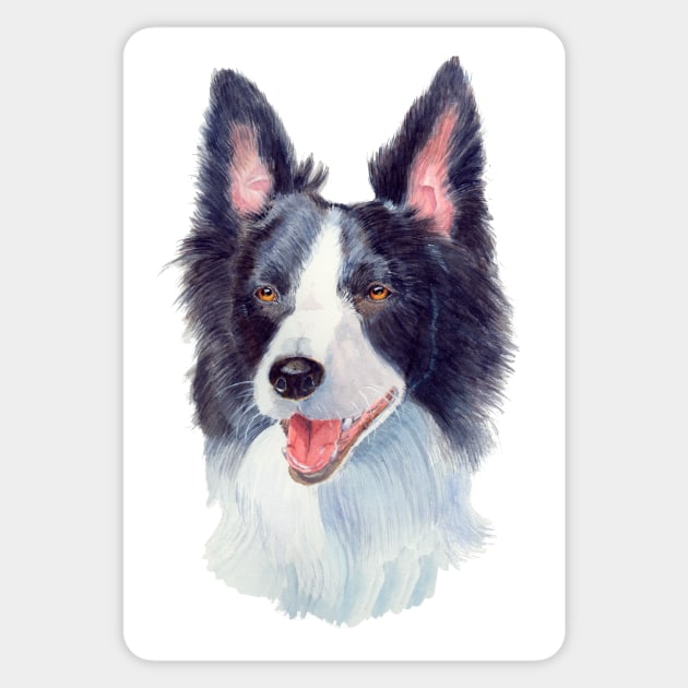 Border collie - akv1 Sticker by doggyshop